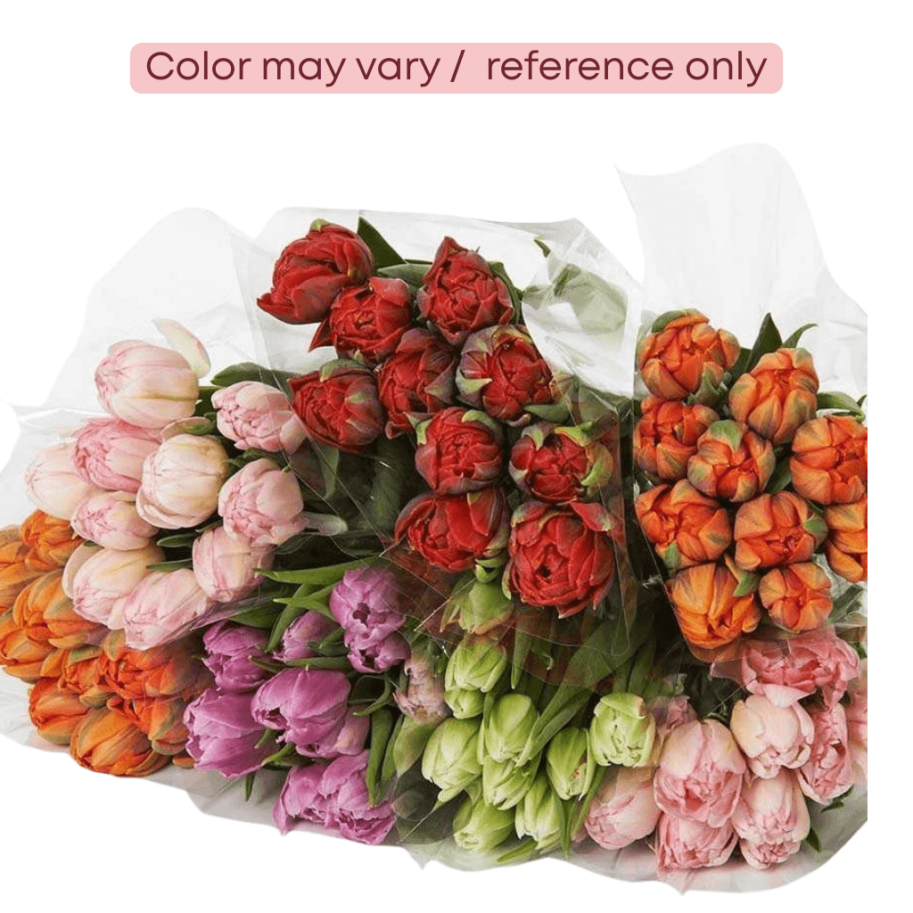 Tulip Double Assorted