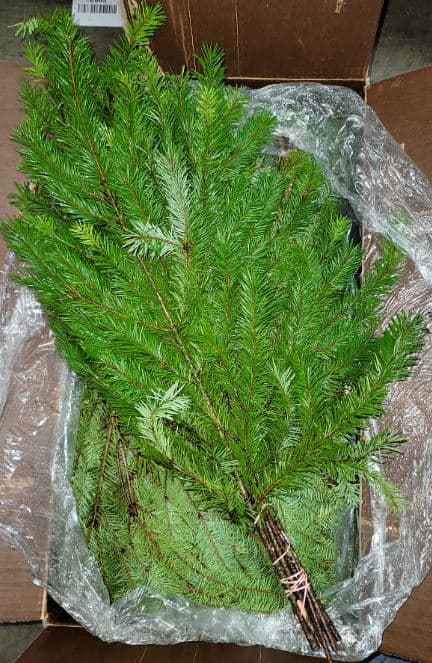 X-mas Bqt Douglas Fir 10 St 60 Cm