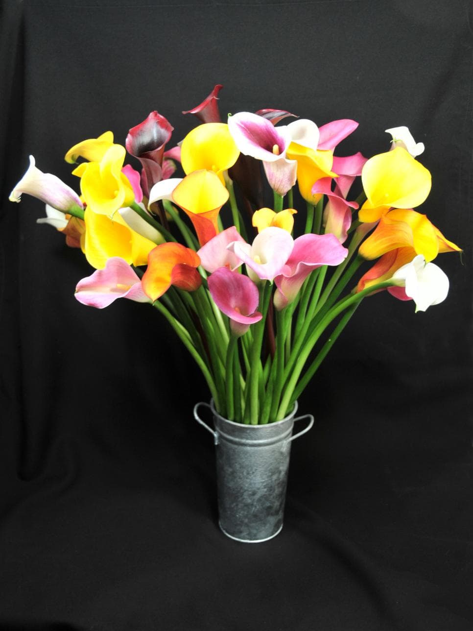 Calla (mini) Assorted 40 Cm