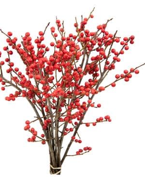 Ilex Bunch Red 40 Cm X 10 St