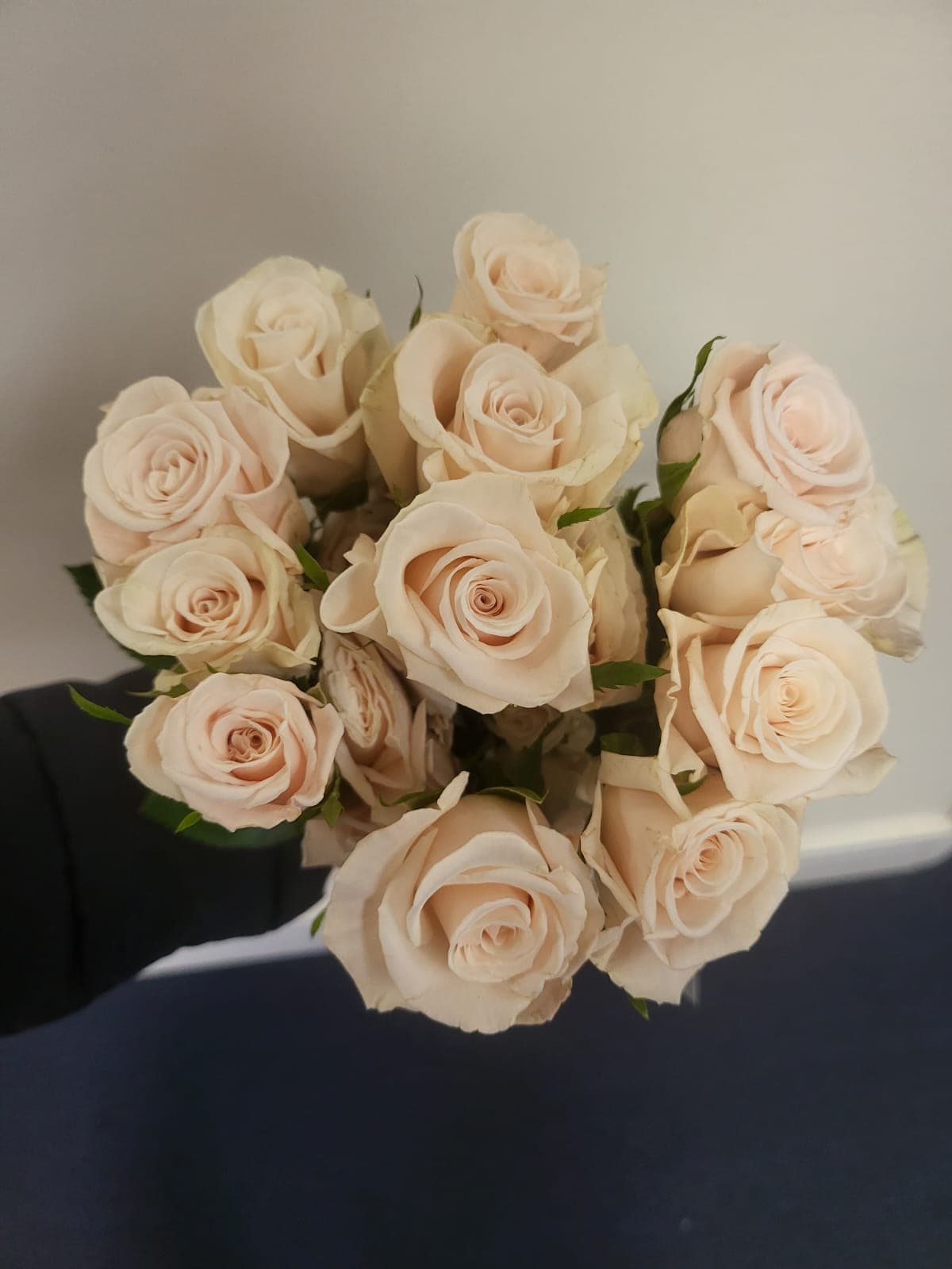Rose Sweetheart Champagne 40 Cm