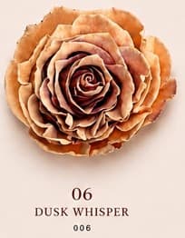 Rose Dusk Whisper Tint Caramel Brown 50 Cm