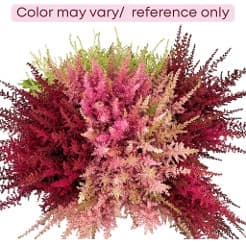 Astilbe Assorted 50 Cm - Nl