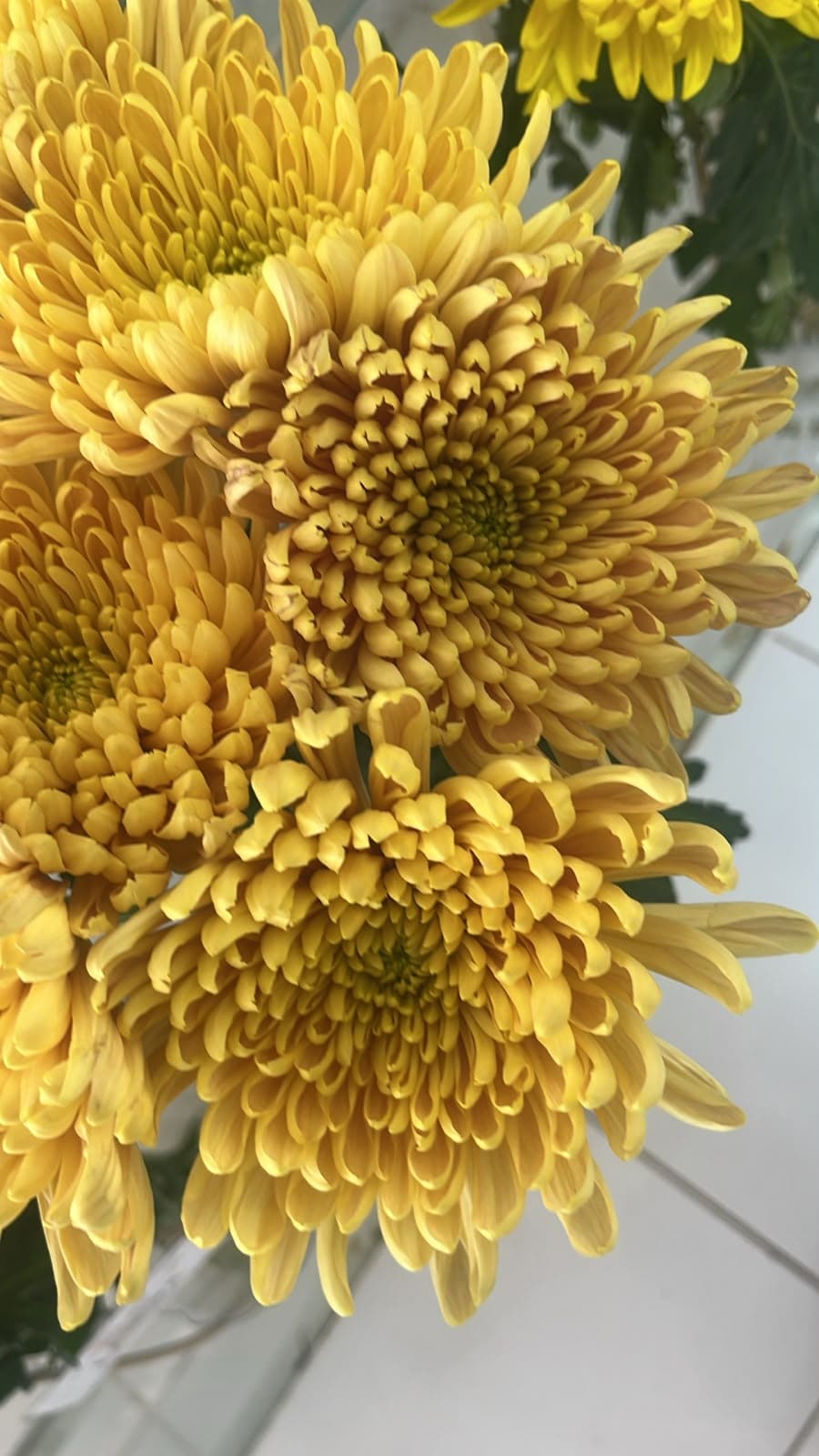 Mum Aljonka Vintage Cremon Mustard Yellow Ec