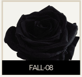 Rose Fall-08 Black Tint 50 Cm