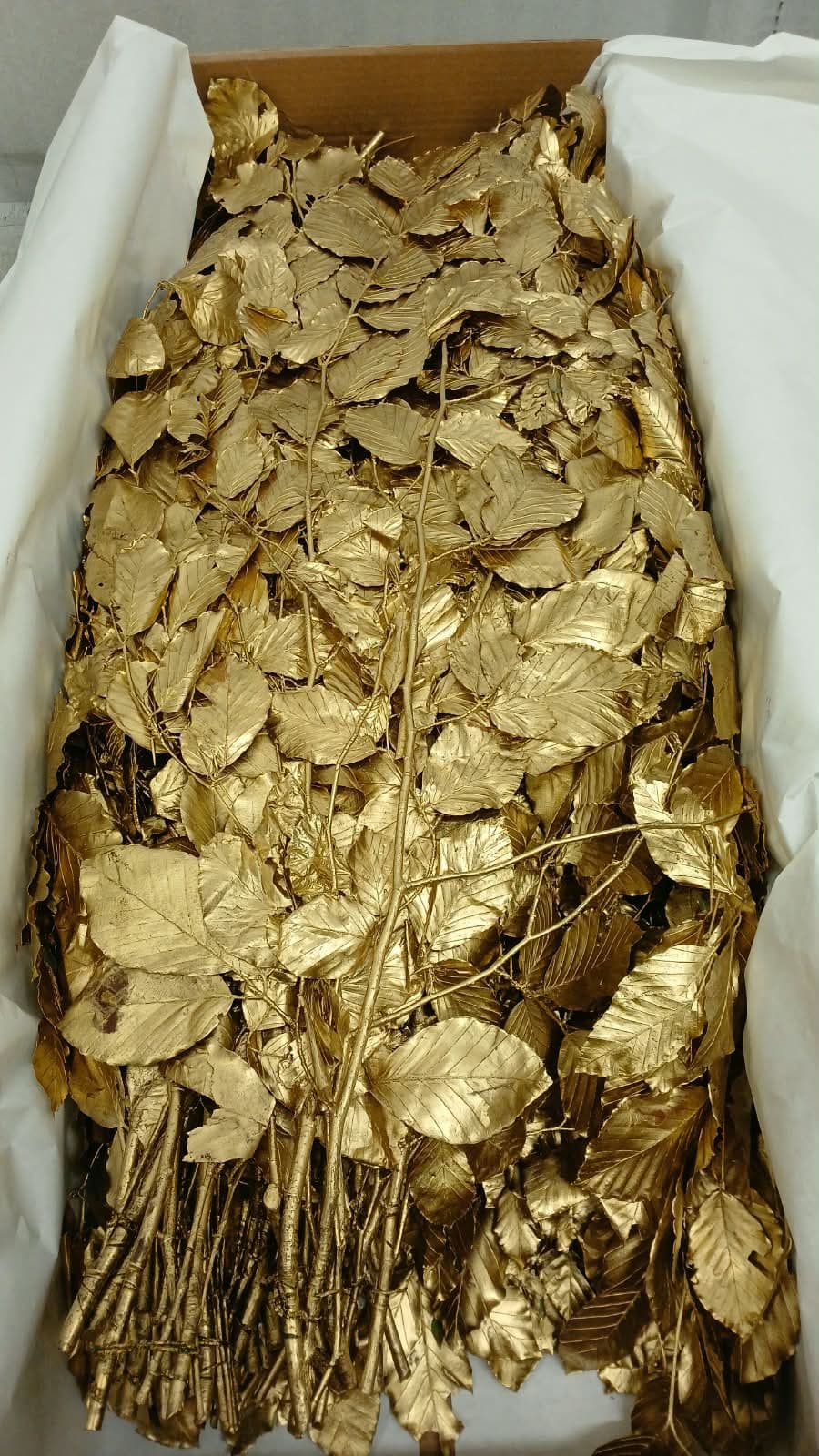 Preserved Copper Beech Metal Gold 150 Gr - Italia