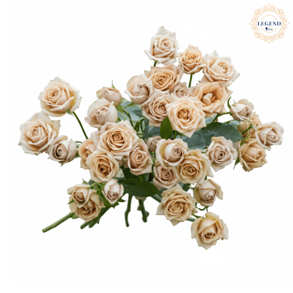 Rose Spray Caffe Latto Legend Cream 45 Cm