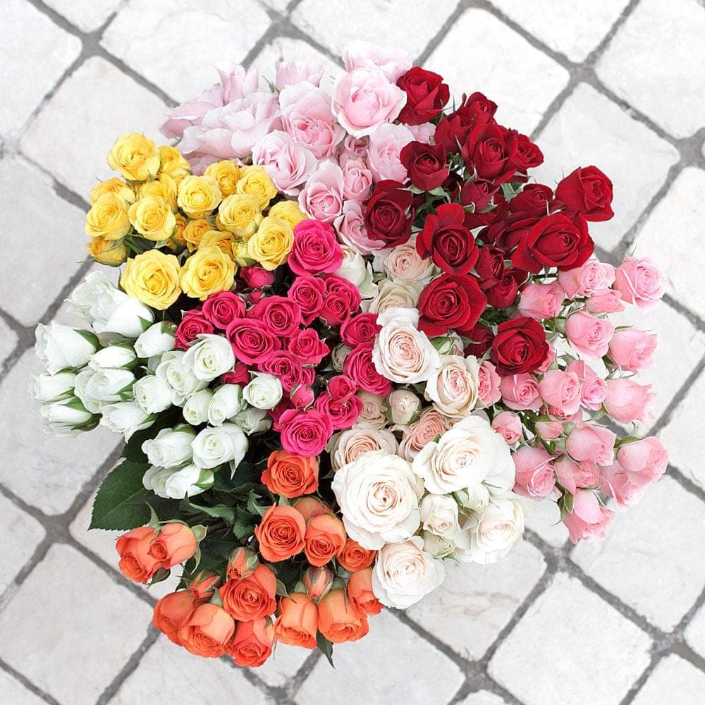 Rose Spray Premium Asst 50cm