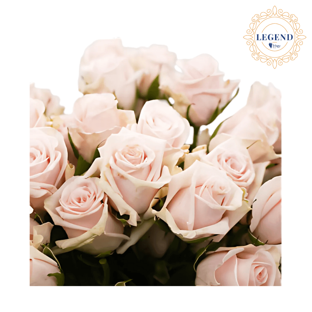 Rose Spray Legend Porcelina Cream 50cm