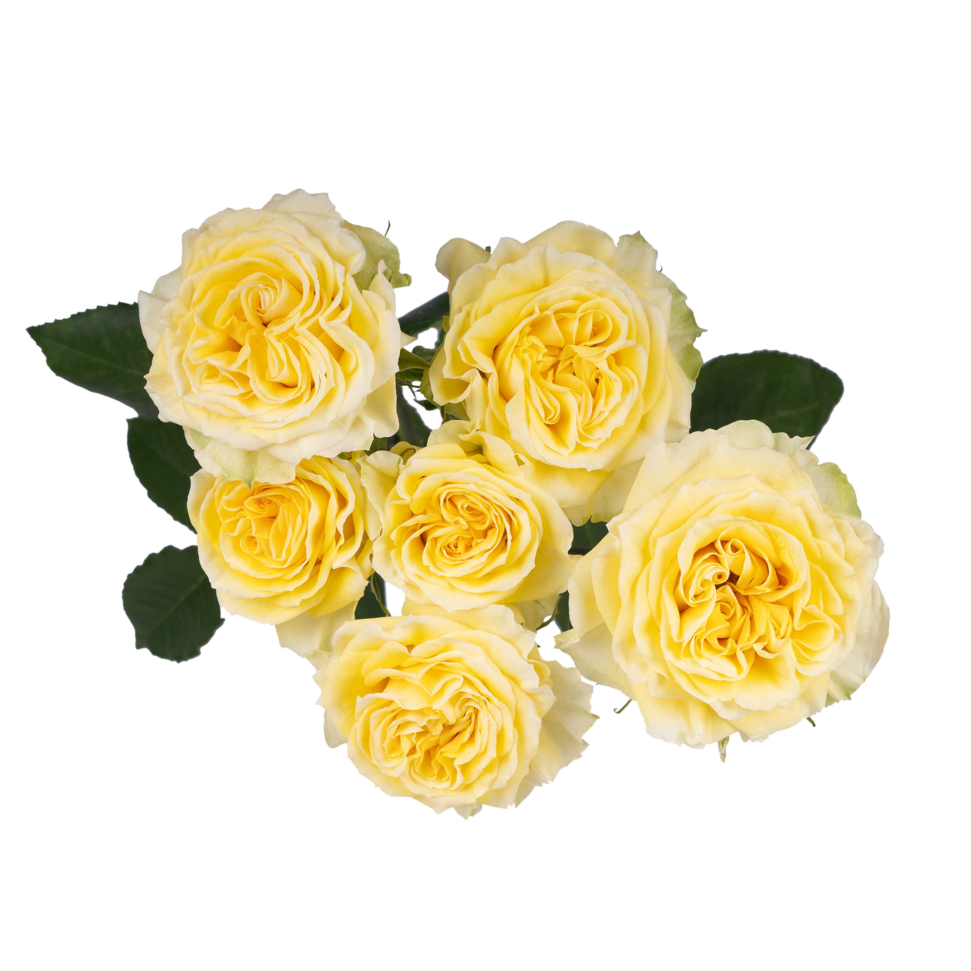 Spray Rose Fibo Gioccanda Yellow 50 cm