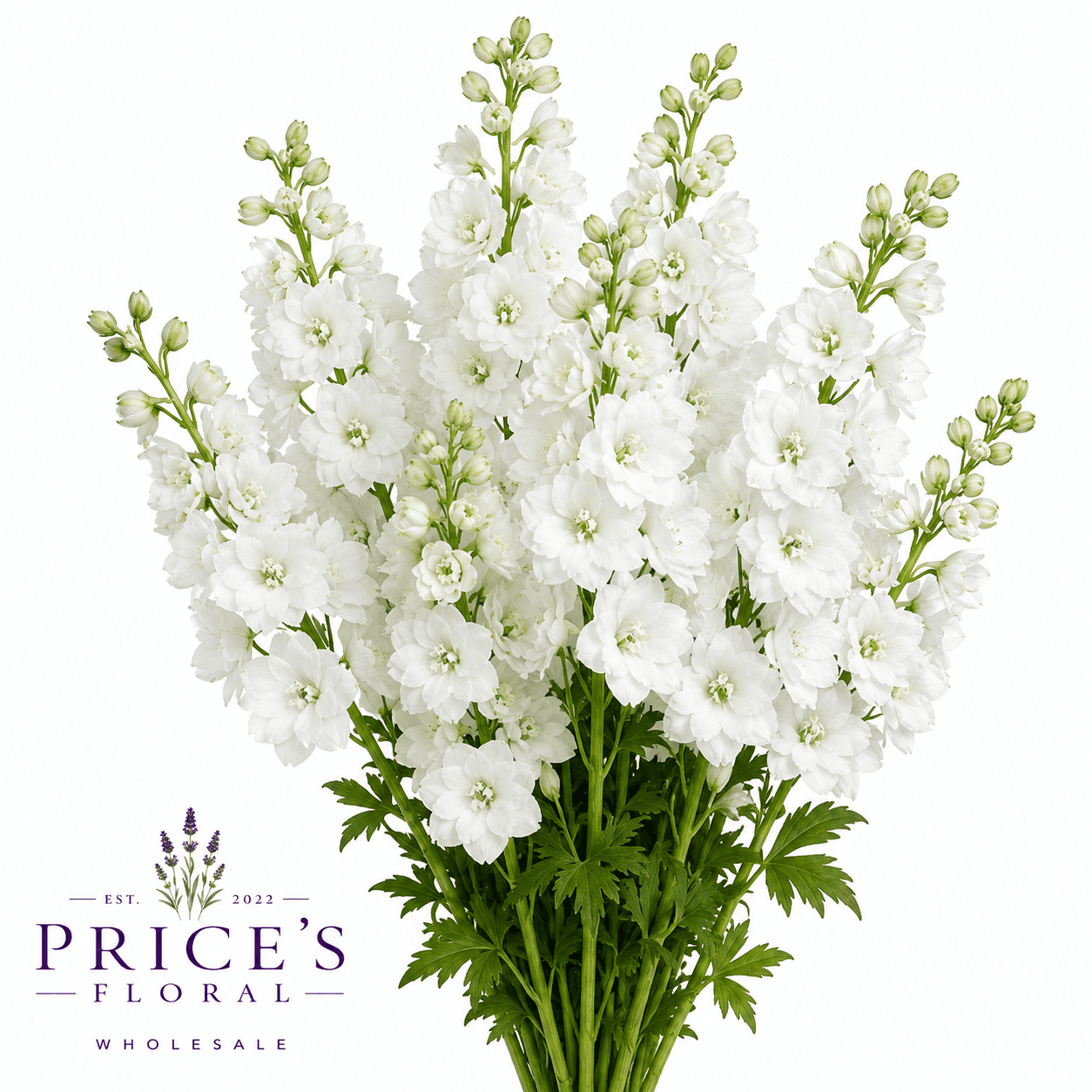 Delph Candle White 70-75cm