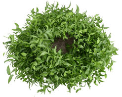 Greens Garland Smilax Green 120 Cm