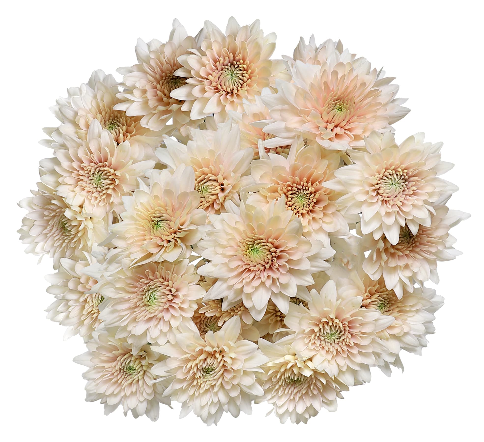 Pom Cushion Champagne Salmon