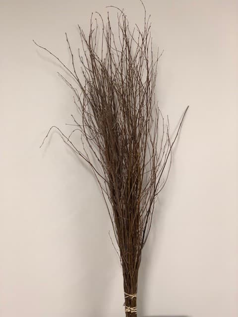 Birch Branches 30bu/bx Natural