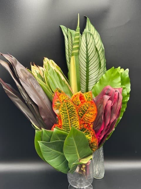 Foliage/Greens MIX SAMBA - 160ST/BX 40-60CM