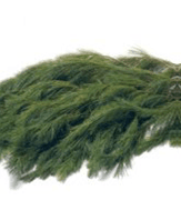 Princess Pine Green 30 lbs