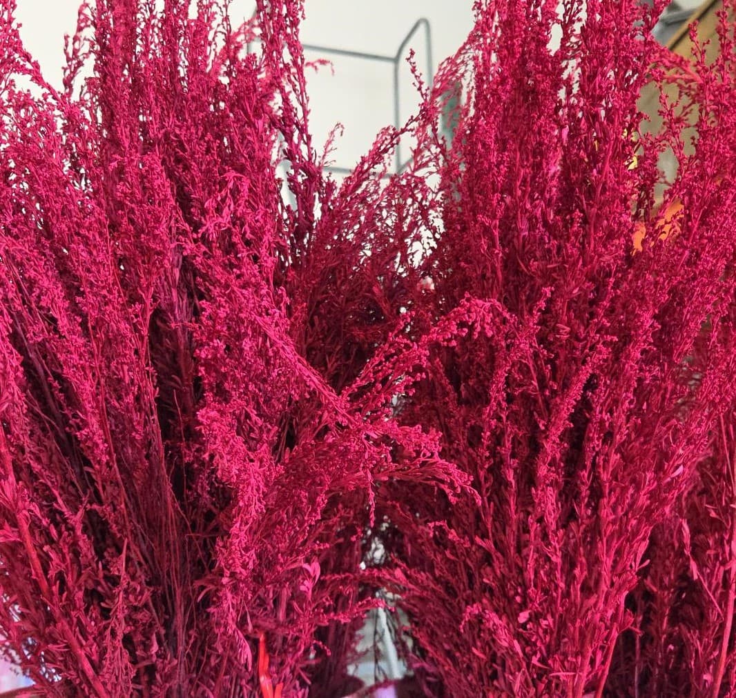 Sage Tinted Red