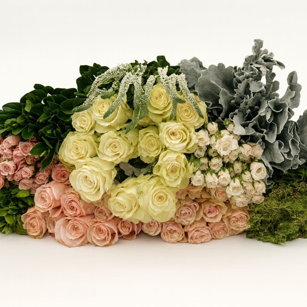 Combo Breathtaking 50 Cm