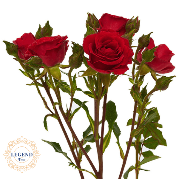 Rose Spray Red Mikado Legend Red 45 Cm
